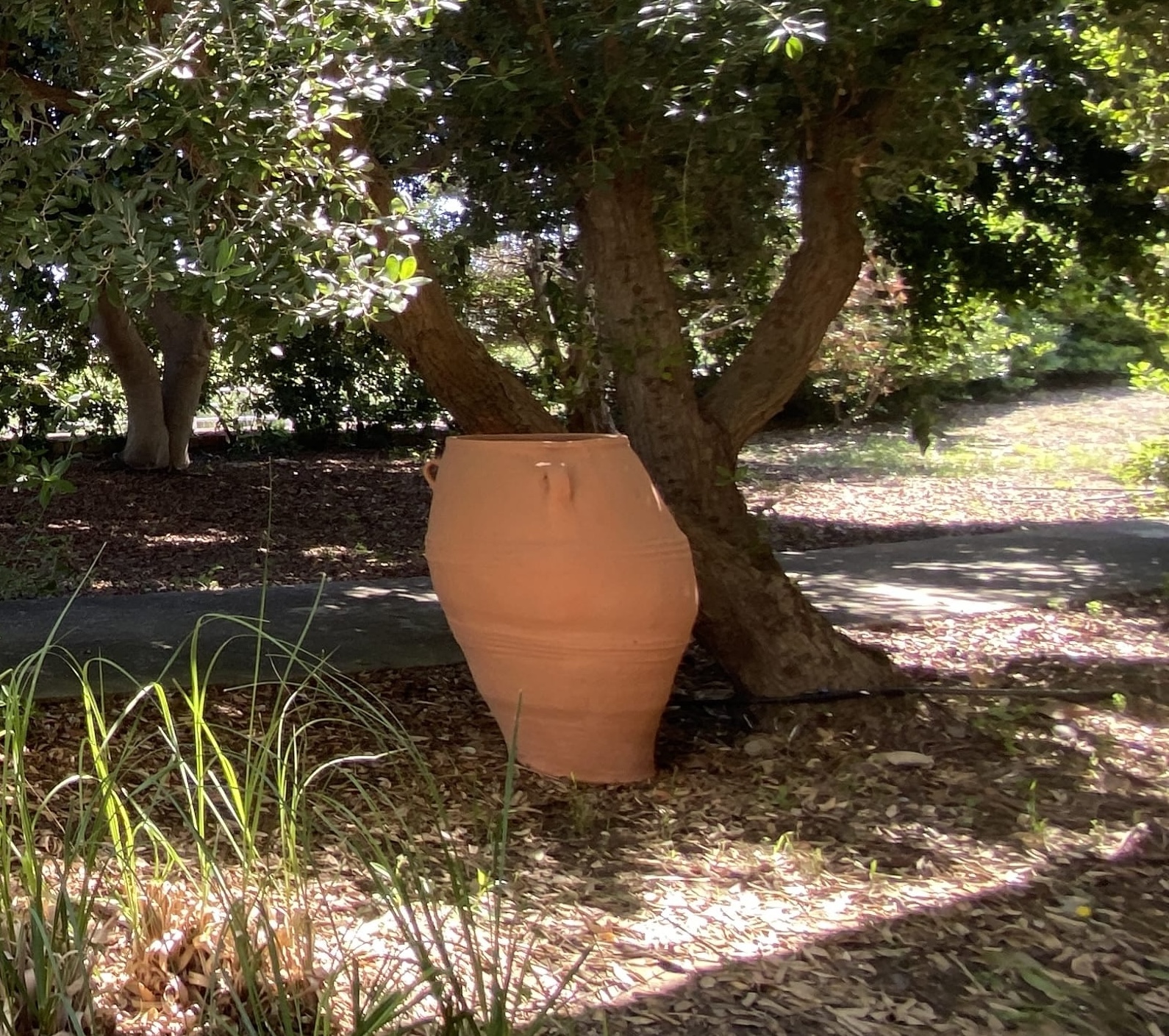 Villa George - Photo 12